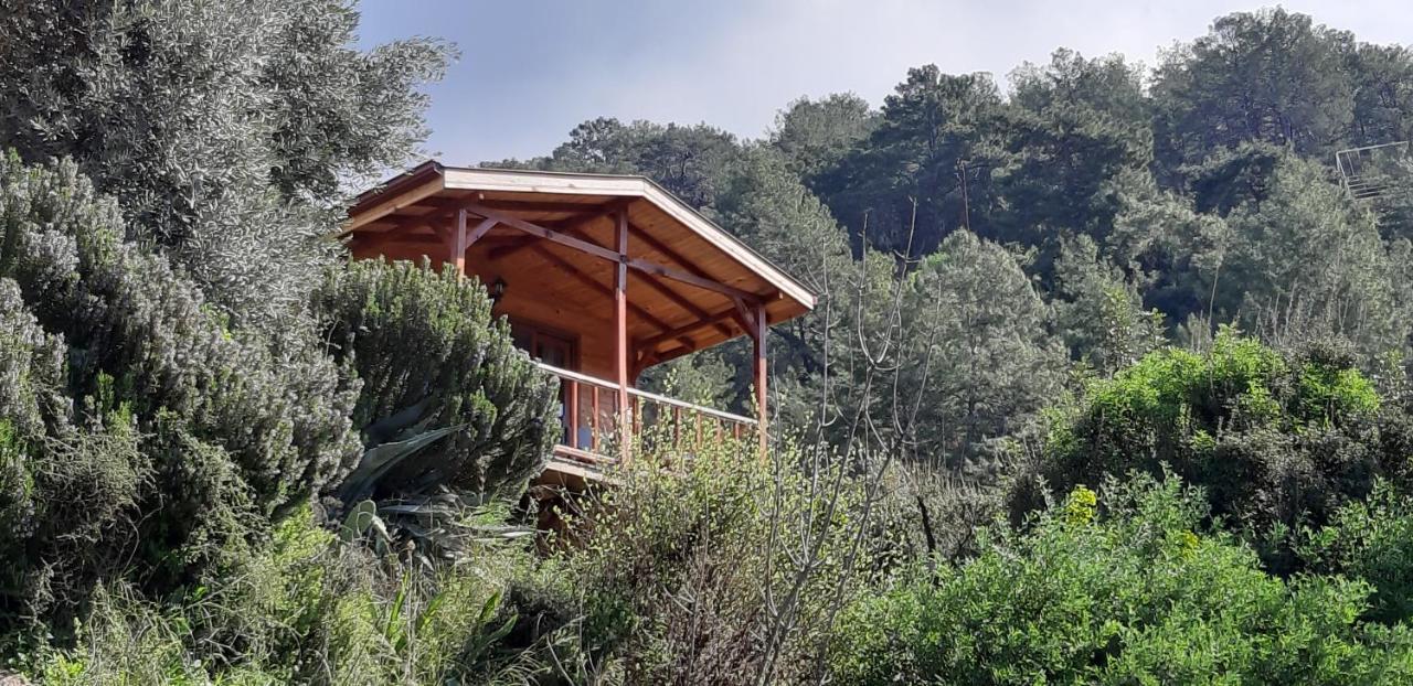 Casa Roja Lägenhet Cedit Exteriör bild