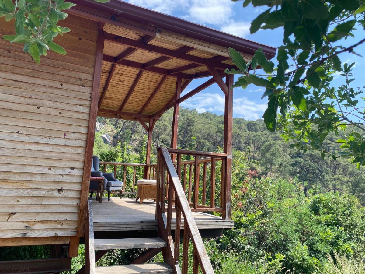 Casa Roja Lägenhet Cedit Exteriör bild
