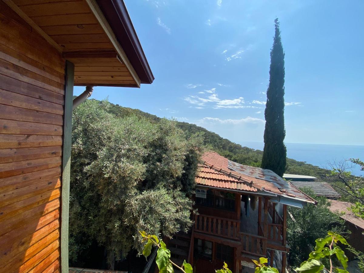 Casa Roja Lägenhet Cedit Exteriör bild