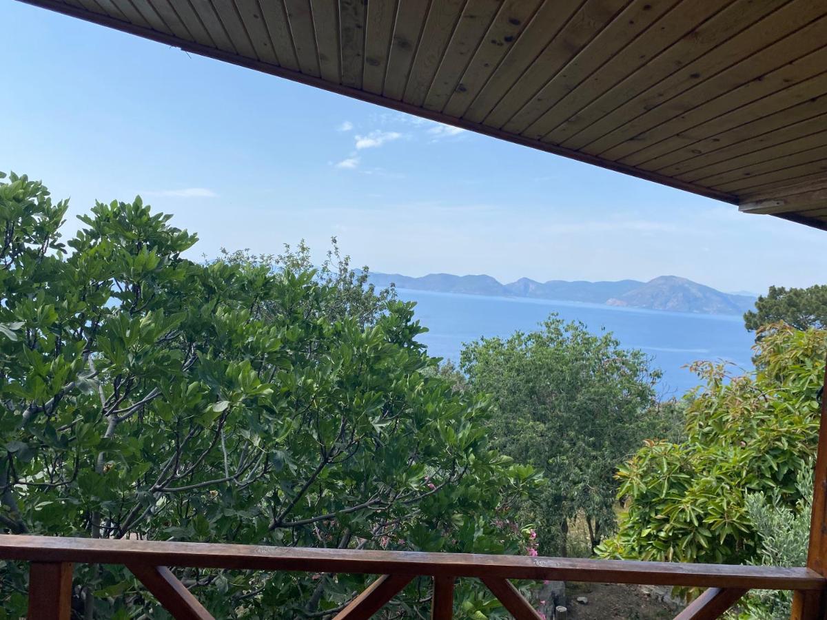 Casa Roja Lägenhet Cedit Exteriör bild
