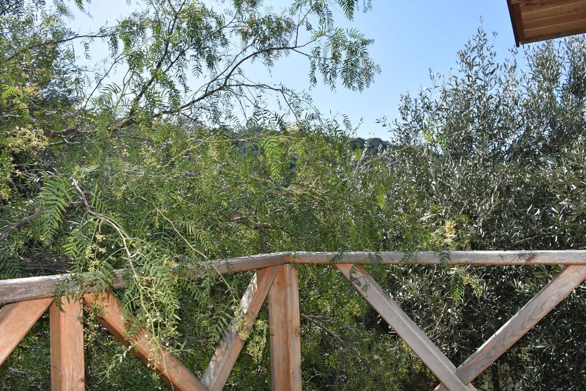 Casa Roja Lägenhet Cedit Rum bild